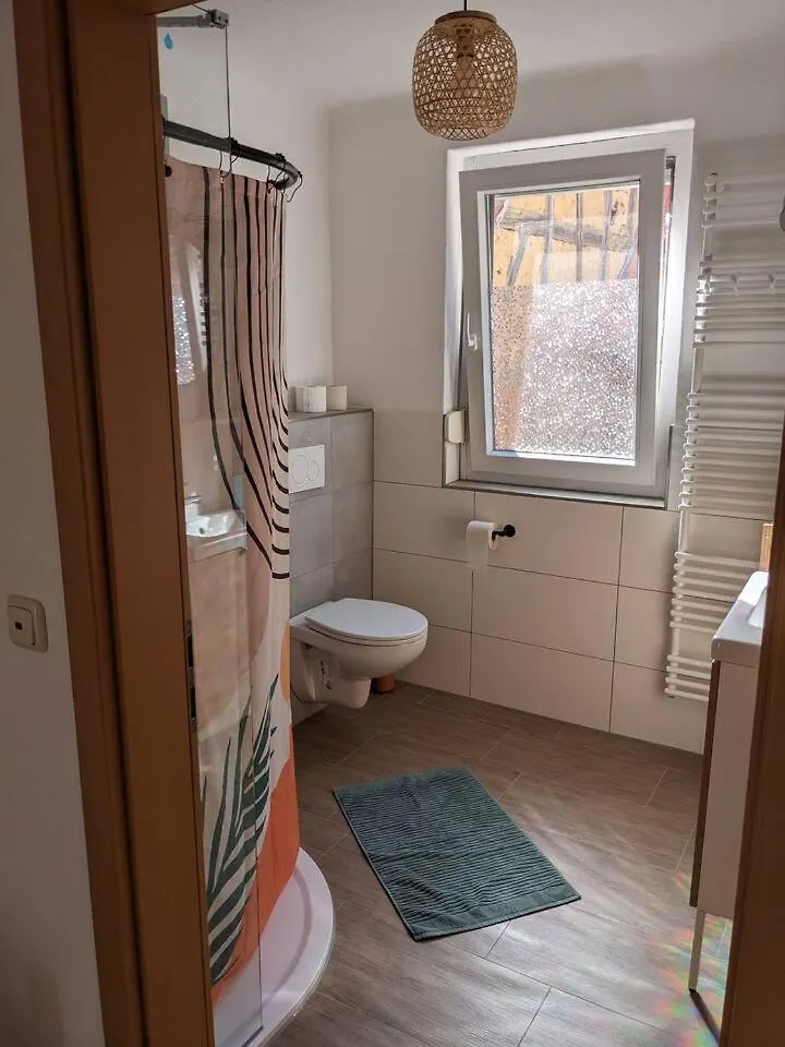 Holiday home Wohnen Am Main 1A-Ammain Villa Margetshoechheim